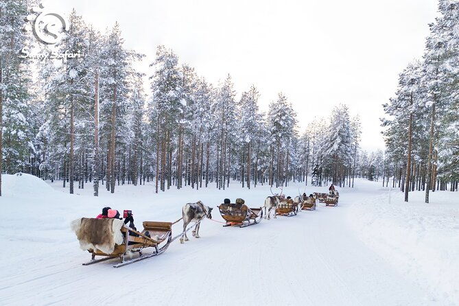 reindeer-safari-in-arctic-wilderness