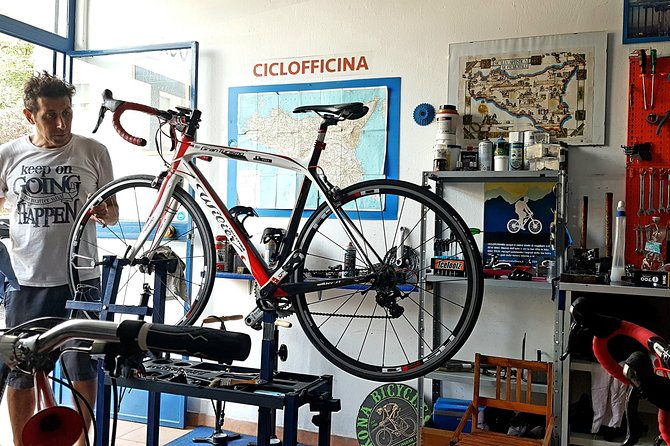 rent-road-bike