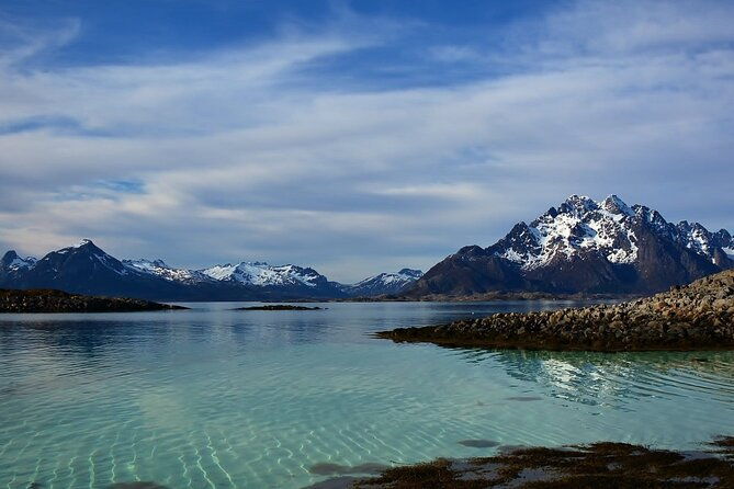 rib-sea-eagle-safari-trollfjord-cruise