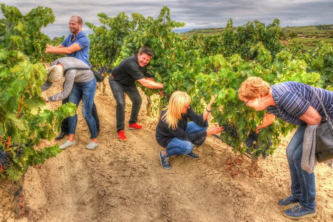 rioja-alta-and-rioja-alavesa-wine-tour