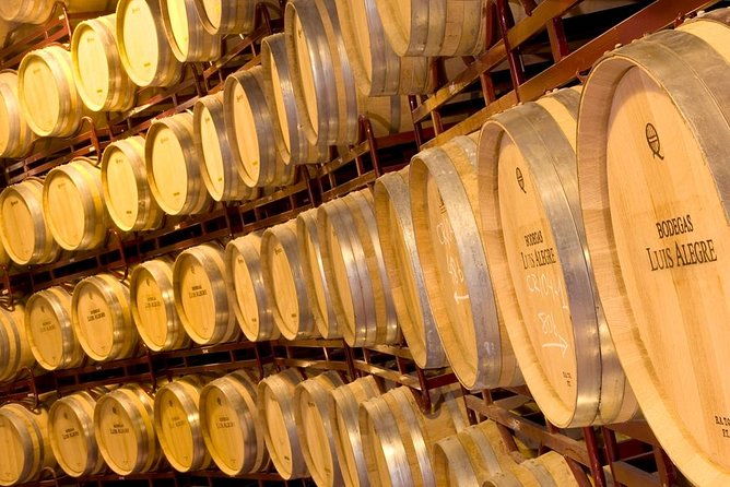rioja-wine-tour-2-wineries-from-bilbao
