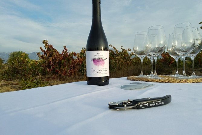 rioja-wine-tour-2-wineries-from-pamplona