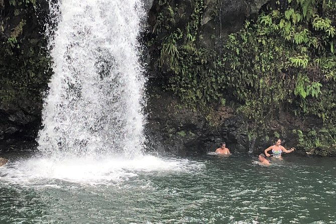 road-to-hana-full-day-scenic-drive-with-blacksand-waterfalls