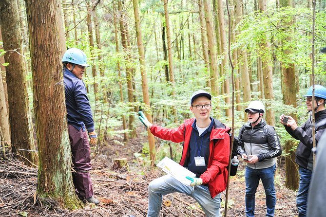 rural-forestry-tour-in-aso-minamioguni