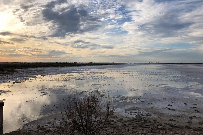 safari-4x4-camargue-2-hours-saintes-maries-de-la-mer-private-tour