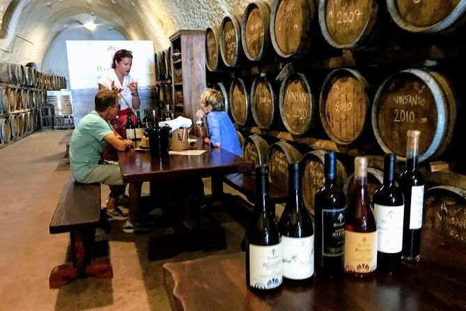 santorini-wine-and-food-experience-with-pick-up-included