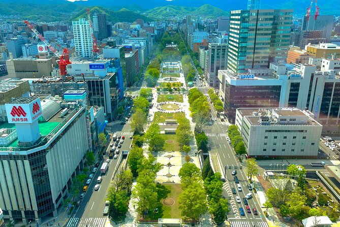 sapporo-afternoon-walking-tour-2h-30mins