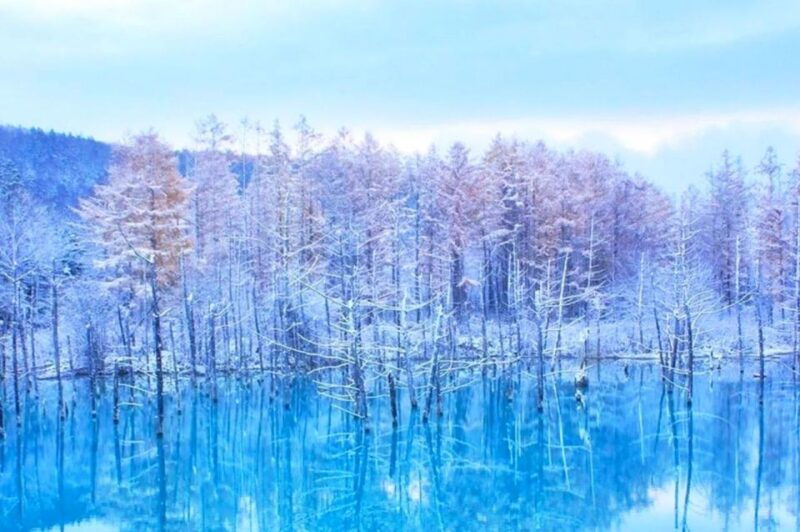 sapporo-asahiyama-zoo-shirahige-falls-biei-pond-day-tour