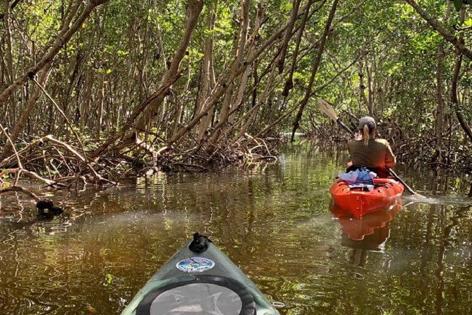sarasota-guided-mangrove-tunnel-kayak-tour