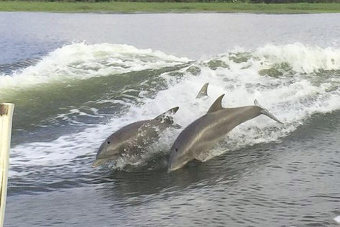 savannah-to-tybee-island-with-dolphin-cruise