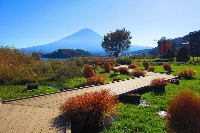 scenic-spots-of-mt-fuji-and-lake-kawaguchi-1-day-bus-tour