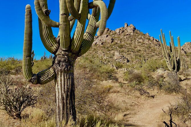 scottsdale-desert-classic-guided-hiking-adventure
