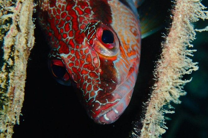 scuba-diving-experience-in-taormina