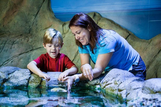 sea-life-manchester-admission-ticket