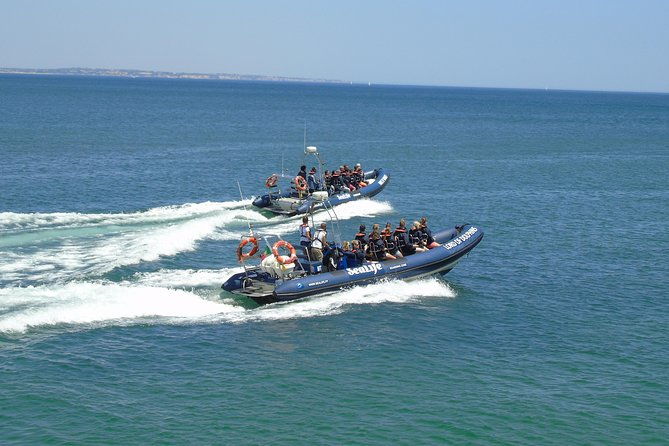sealife-sea-safari-dolphin-watching-with-marine-biologists-lagos