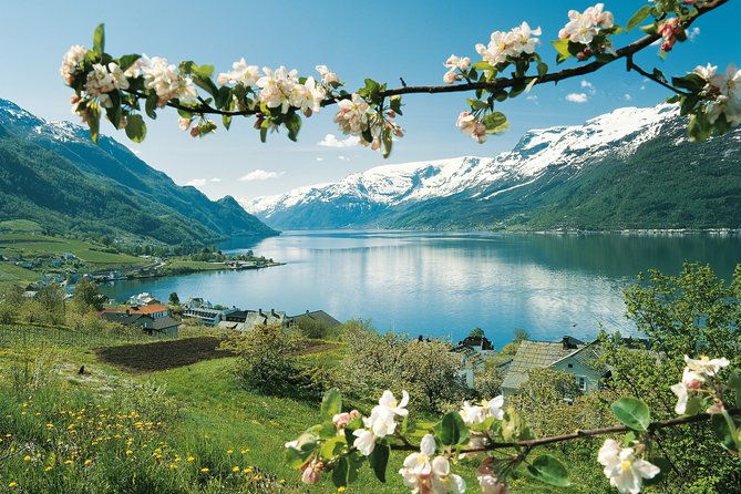 self-guided-22-hour-round-trip-from-oslo-to-sognefjord-with-flam-railway