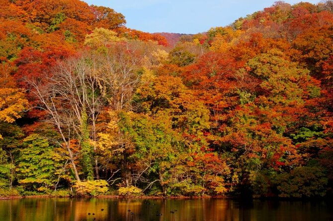 shirakami-sanchi-day-hike-with-government-licensed-guide