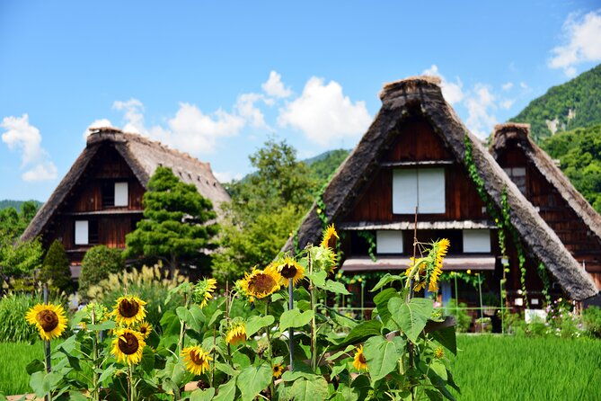shirakawa-go-from-takayama-nagoya-one-day-bus-ticket