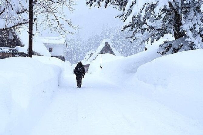 shirakawago-and-takayama-2-days-tour-from-osaka-or-kyoto