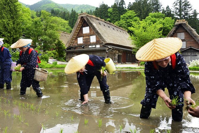 shirakawago-takayama-tour-kanazawa-dep-driver-only-no-guide