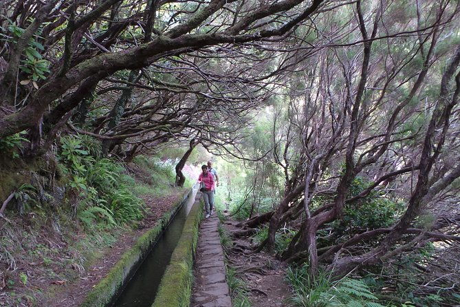 skywalk-4x4-experience-and-rabacal-25-fountains-levada-walk