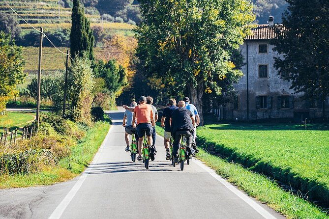 small-group-amarone-wine-e-bike-tour-from-verona