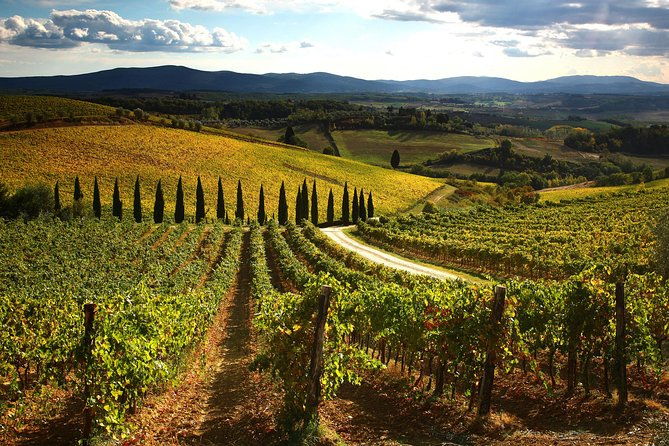 small-group-chianti-trip-with-wine-tasting-from-siena