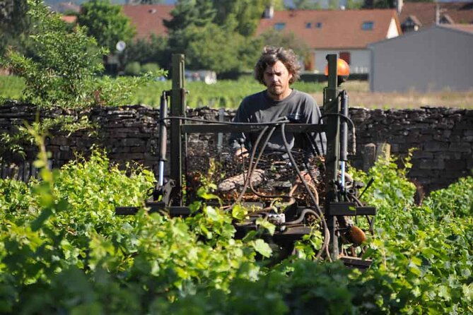 small-group-full-day-tour-of-cote-de-nuits-cote-de-beaune-vineyards-and-beaune-historical-district