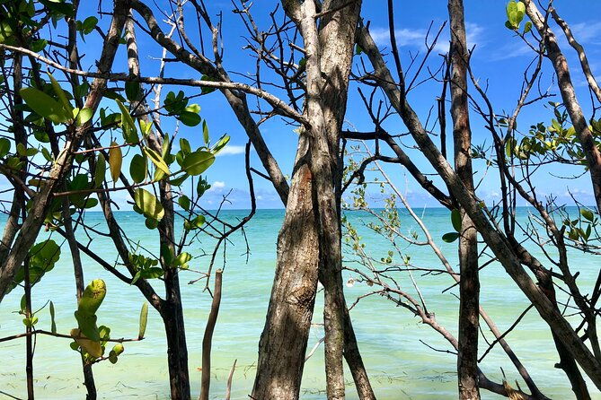 small-group-kayak-tour-of-the-shell-key-preserve