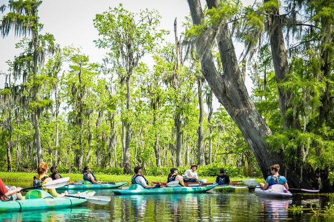 small-group-manchac-swamp-kayak-tour-with-local-guide