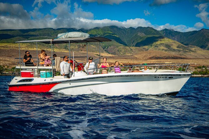 small-group-whale-watching-adventure