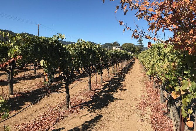 small-group-wine-country-tour-from-san-francisco-with-tastings