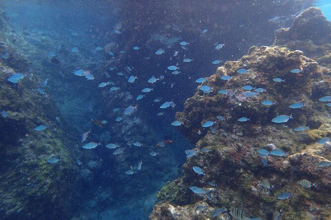 snorkel-experience-in-lanzarote
