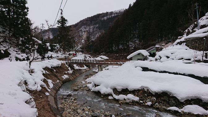 snow-monkey-shiga-kogen-roman-museum-with-lunch-buffet