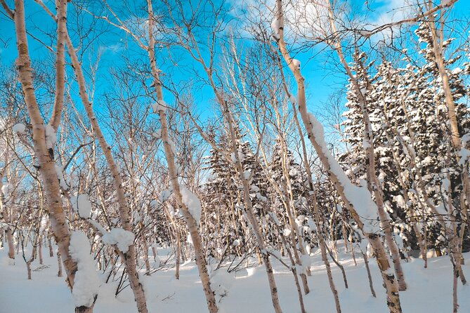 snowshoe-adventures-and-onsen-bliss-winter-escape-in-furano