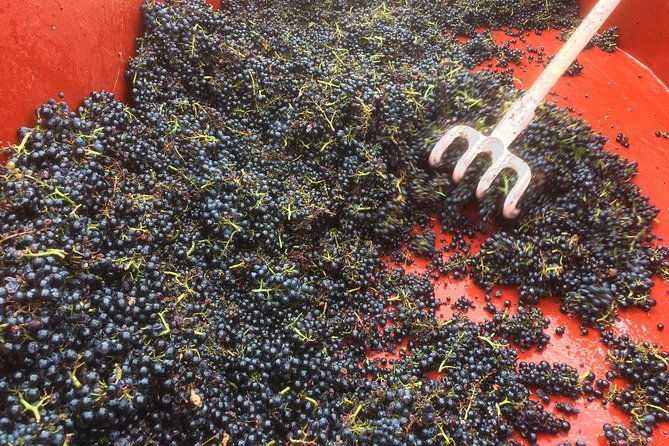 southern-burgundy-wine-tour-full-day-shared-tour-from-lyon