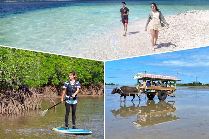 sup-canoe-landing-on-coral-island-sightseeing-in-yubujima