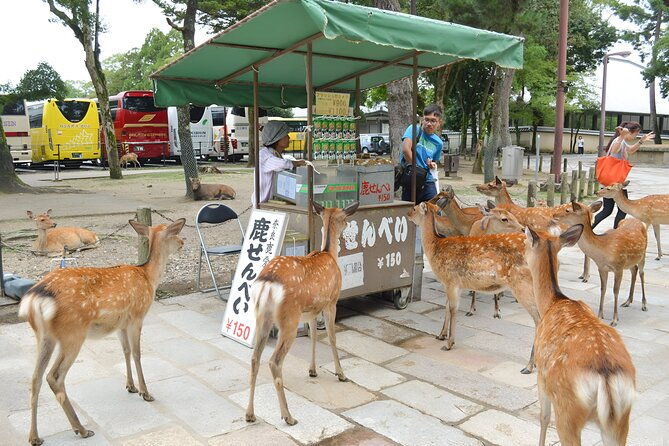 taste-of-nara-a-guided-half-day-food-tour-tailored-to-your-taste