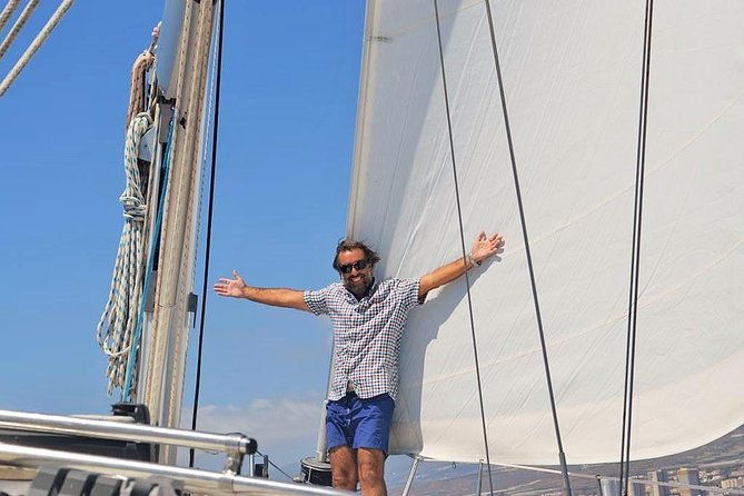 tenerife-3-hour-discover-whales-and-dolphins