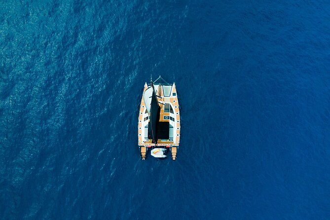 tenerife-whales-and-dolphins-watching-experience-in-catamaran