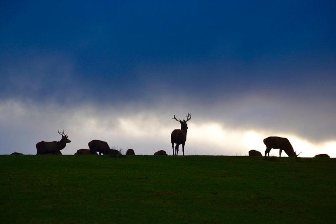 the-best-two-day-tours-in-ireland-the-ring-of-kerry-and-dingle-slea-head-tours