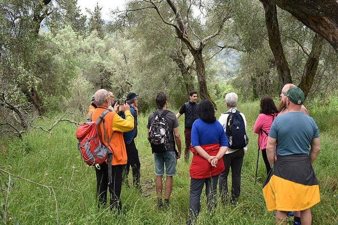 the-governors-olive-mill-tour-with-olive-oil-tasting