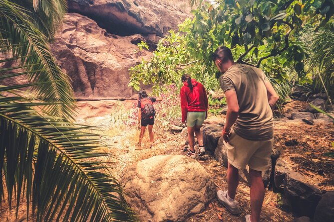the-red-canyon-tour-small-group-trip-with-local-food-tasting-%e3%83%84