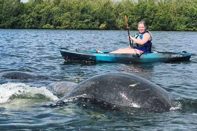 thousand-island-mangrove-tunnel-manatee-dolphin-kayak-tour-w-cocoa-kayaking