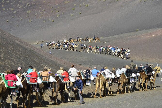 timanfaya-park-camel-ride-extra-cost-short-south-tour