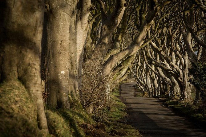 titanic-experience-and-giants-causeway-tour-from-belfast