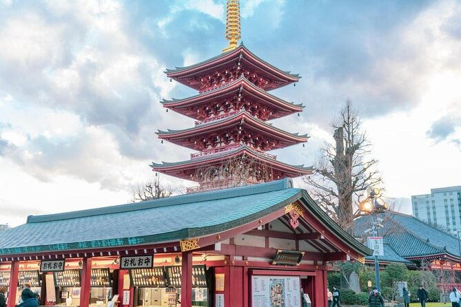 tokyo-cherry-blossom-private-one-day-tour