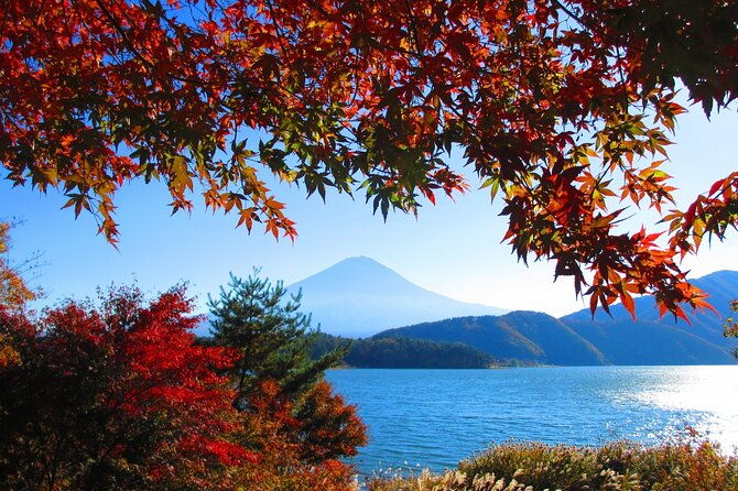 tokyo-%e2%87%94-lake-kawaguchi-bus-tickets-one-way-round-trip