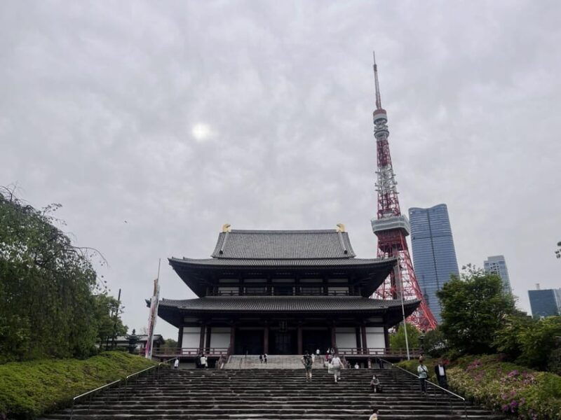 tokyo-highlights-tour-sumo-sushi-tea-and-tokyo-tower