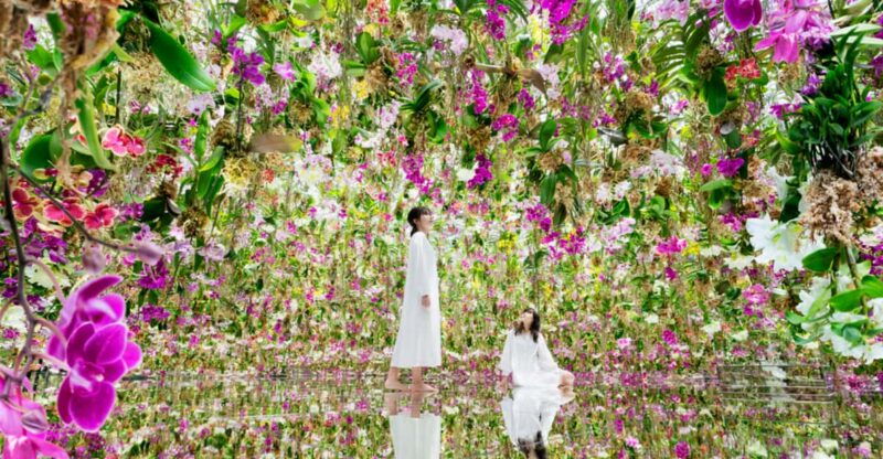 tokyo-teamlab-planets-tokyo-digital-art-museum-entry-ticket
